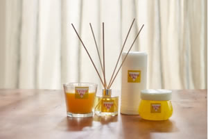 Candles, Diffusers & Burners